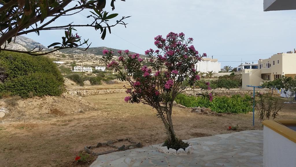 Aegean Sea Apartment Lefkos  Екстериор снимка